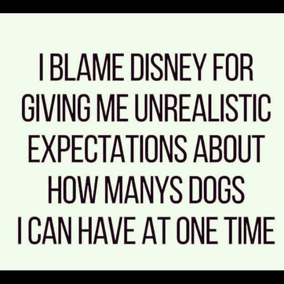 🌈New hair, who dis?🌈Meet your Posher, Cat - Picture 9 of 16